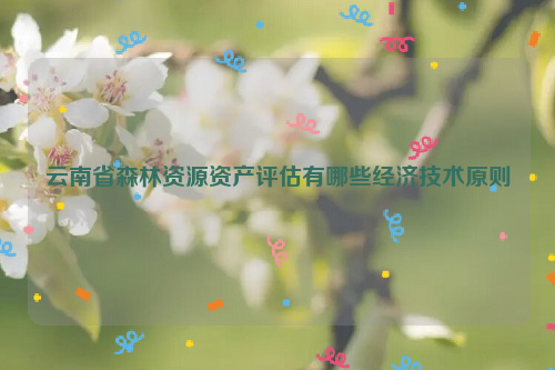 云南省森林資源資產(chǎn)評估有哪些經(jīng)濟(jì)技術(shù)原則