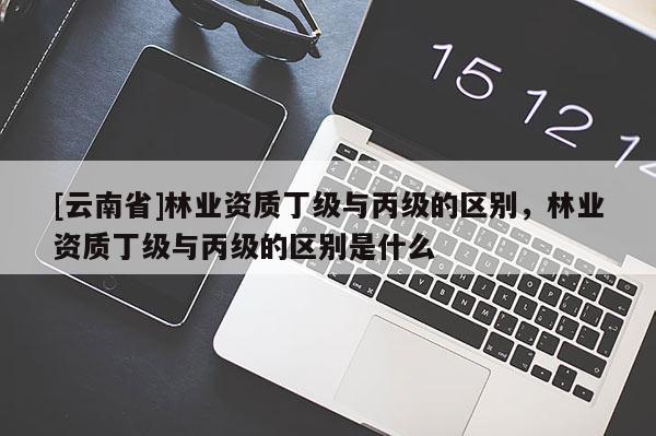 [云南省]林業(yè)資質(zhì)丁級與丙級的區(qū)別，林業(yè)資質(zhì)丁級與丙級的區(qū)別是什么