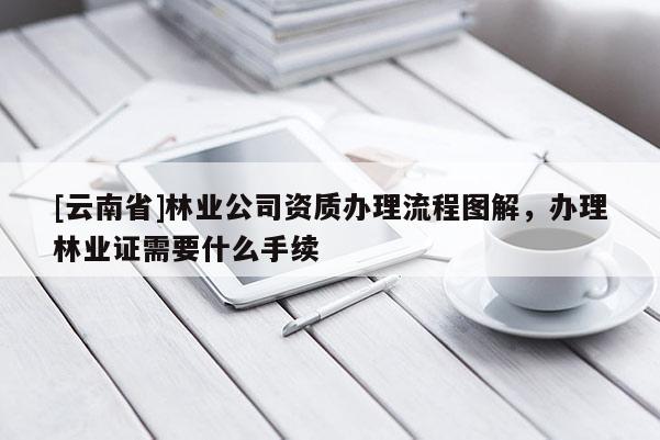 [云南省]林業(yè)公司資質(zhì)辦理流程圖解，辦理林業(yè)證需要什么手續(xù)