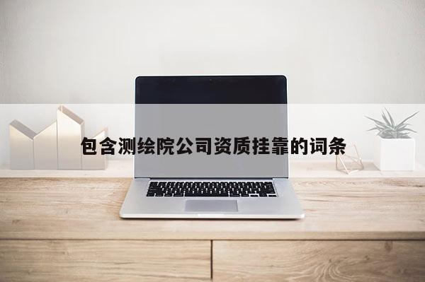包含測繪院公司資質掛靠的詞條