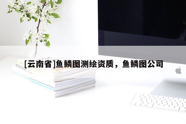 [云南省]魚鱗圖測繪資質(zhì)，魚鱗圖公司