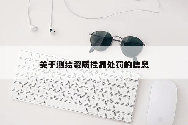 關于測繪資質掛靠處罰的信息